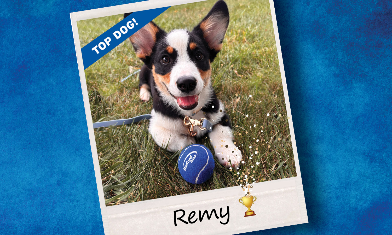 Meet remy68a2.jpg